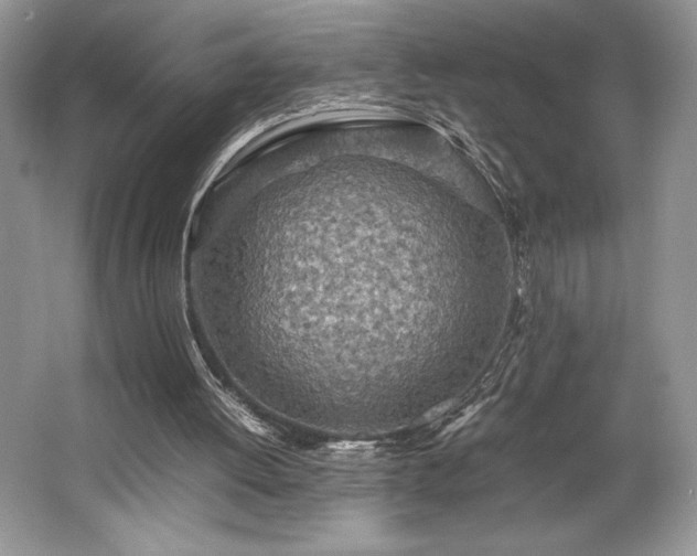 X0000062670052200512211346