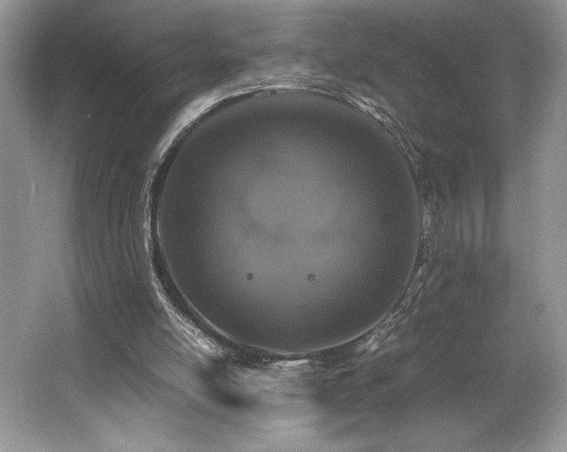 X0000062670054200512211346