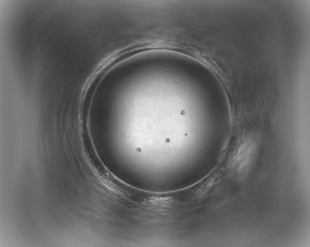 X0000062670055200512211346