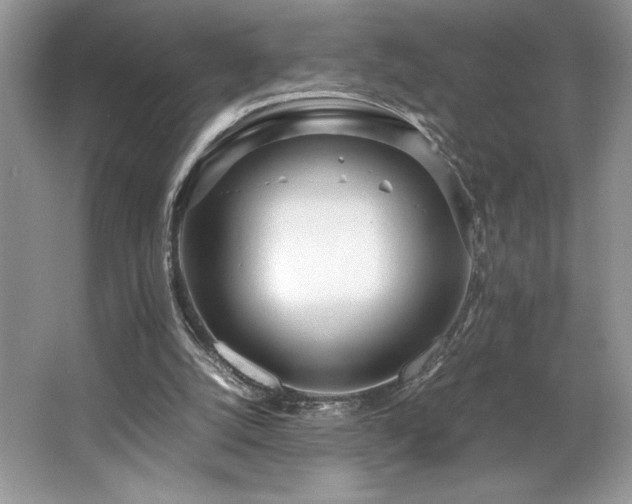 X0000062670056200512211346