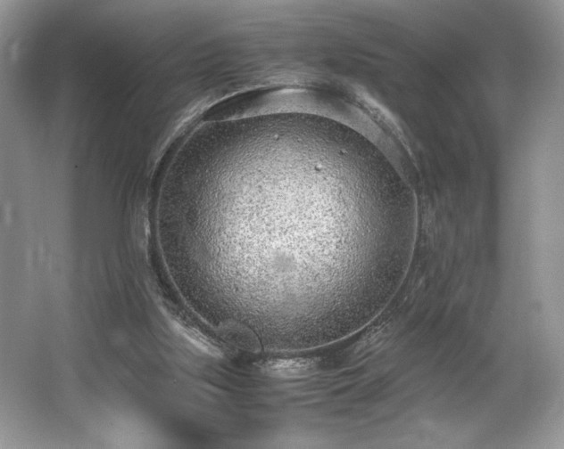 X0000062670059200512211346