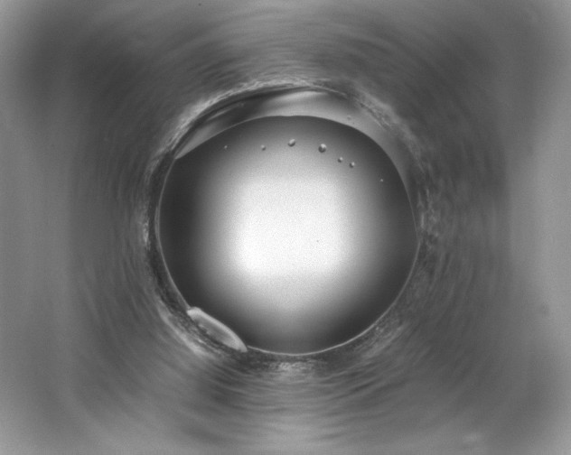 X0000062670060200512211346