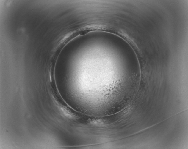 X0000062670062200512211346