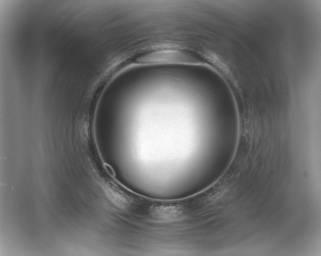 X0000062670063200512211346