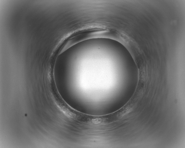 X0000062670064200512211346