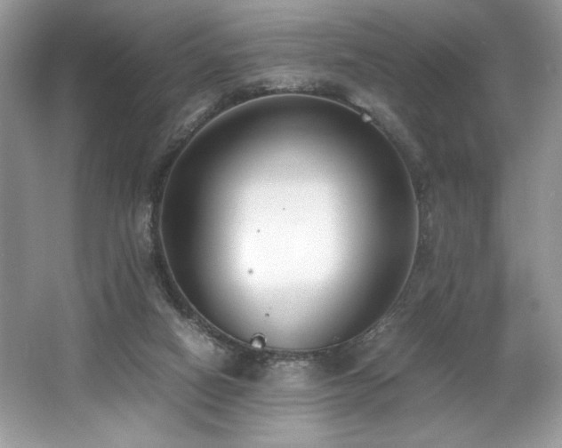 X0000062670066200512211346