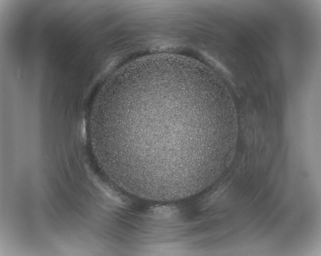 X0000062670067200512211346