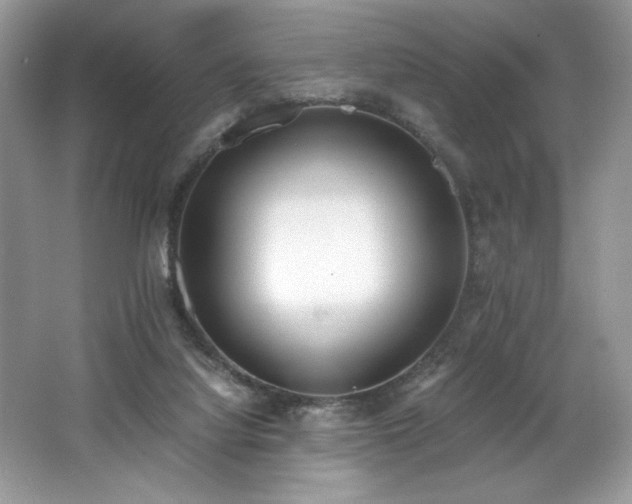 X0000062670068200512211346