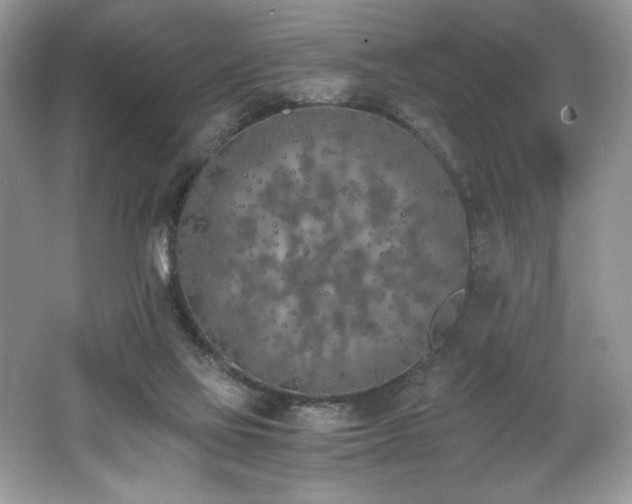 X0000062670069200512211346