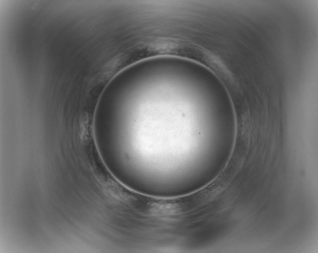 X0000062670073200512211346