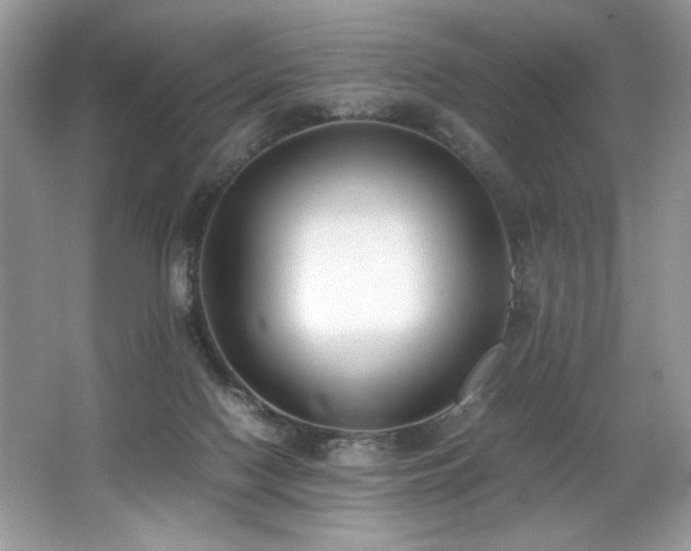 X0000062670074200512211346