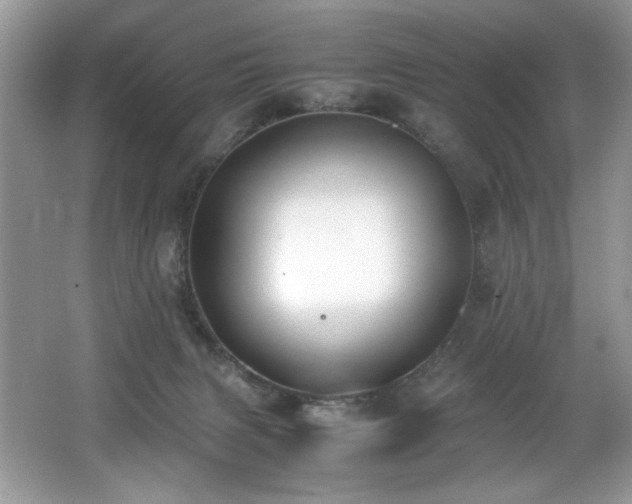 X0000062670079200512211346