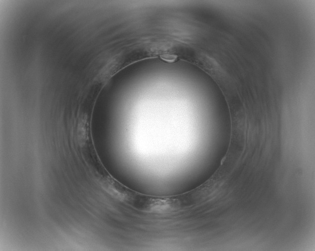 X0000062670083200512211346