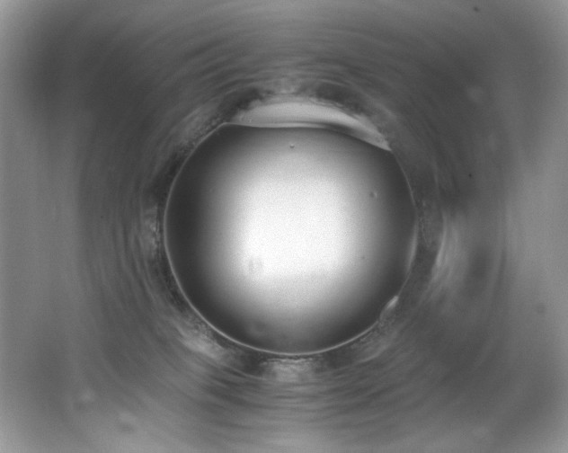 X0000062670085200512211346