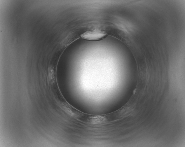 X0000062670087200512211346