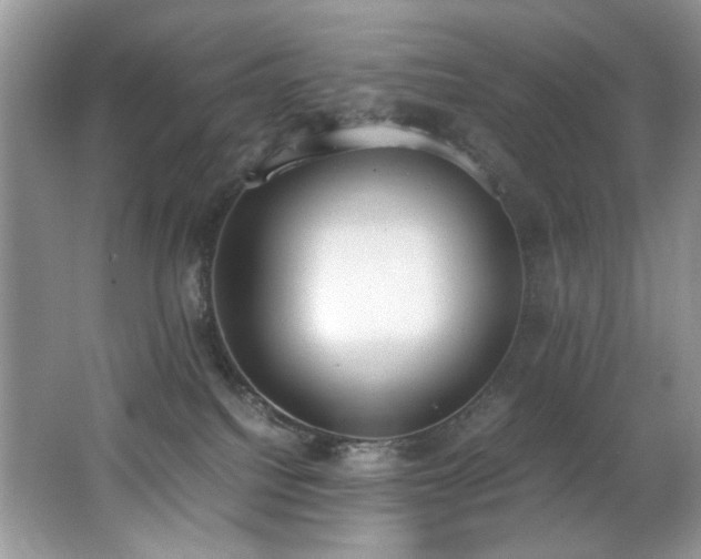 X0000062670088200512211346