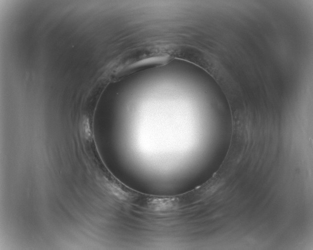 X0000062670089200512211346