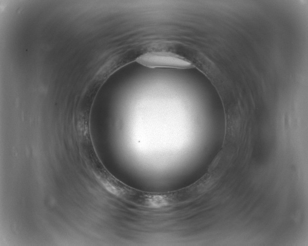 X0000062670091200512211347