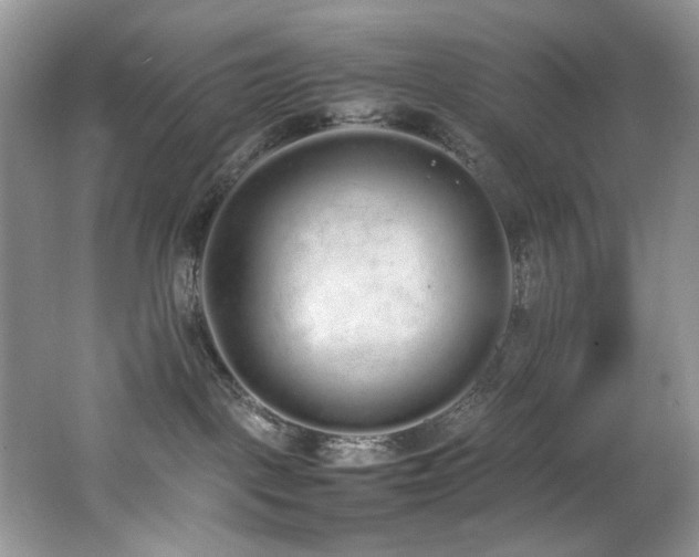 X0000062670093200512211347