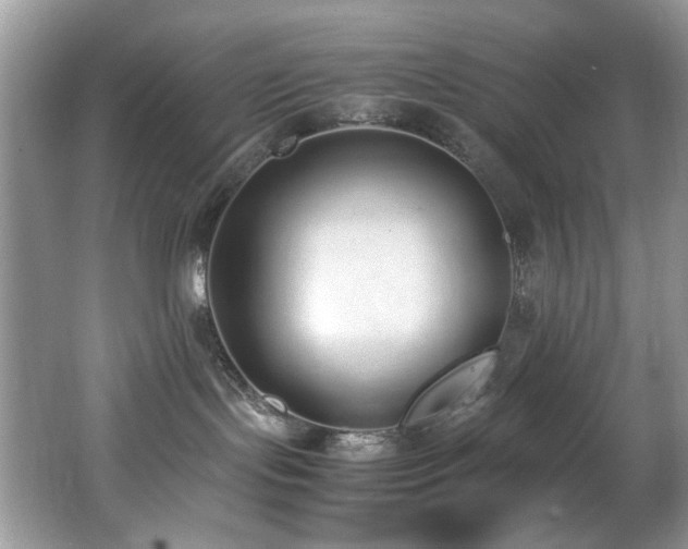 X0000062670095200512211347