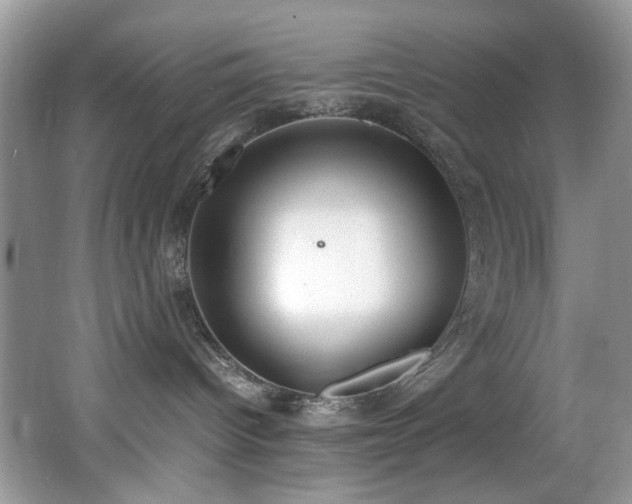 X0000062670096200512211347