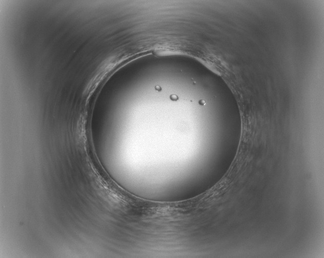 X0000062670098200512211346