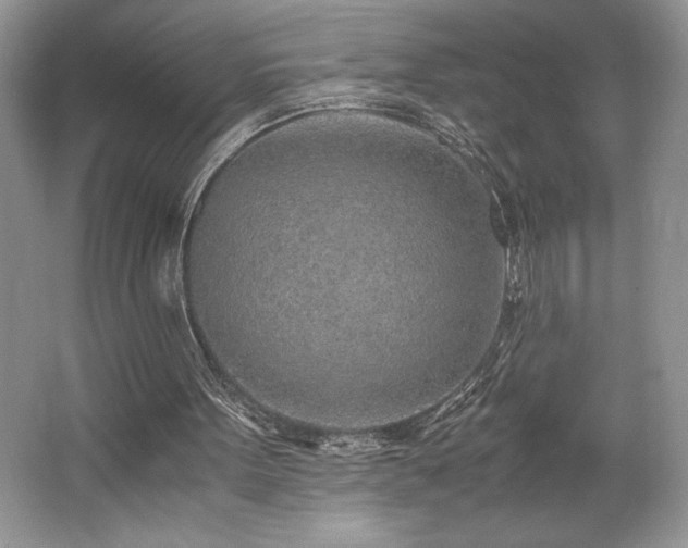 X0000062670099200512211346