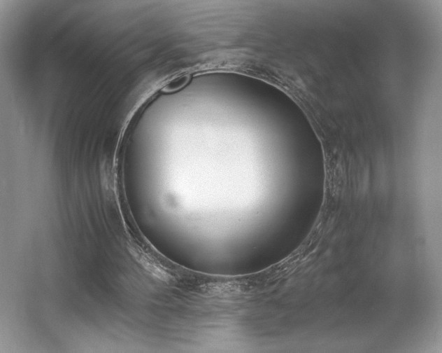 X0000062670100200512211346