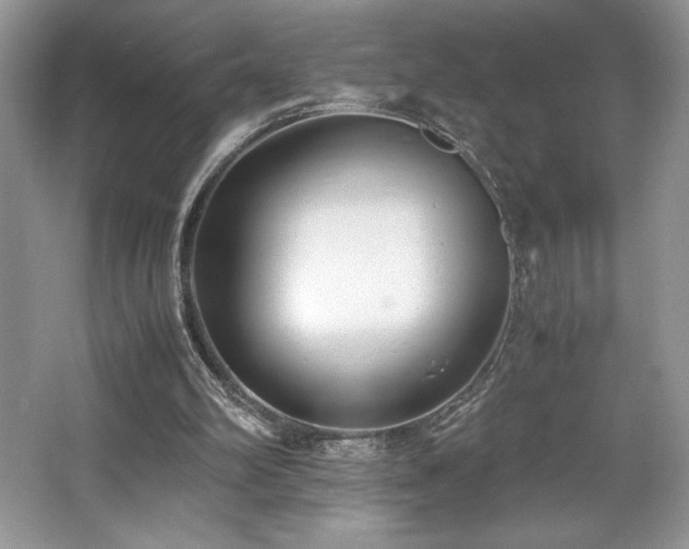 X0000062670102200512211346