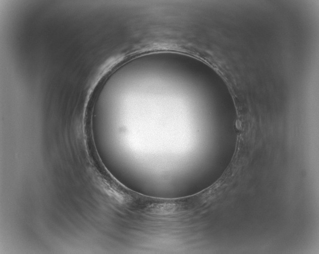 X0000062670104200512211346