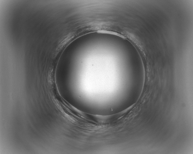 X0000062670105200512211346