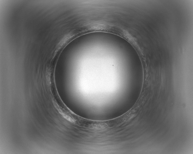 X0000062670106200512211346