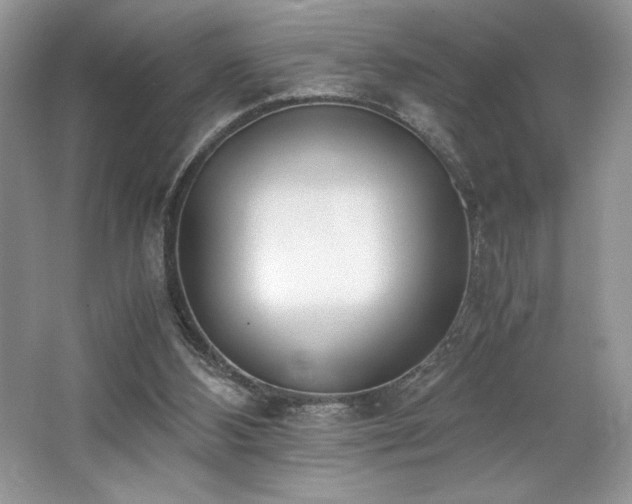 X0000062670108200512211346