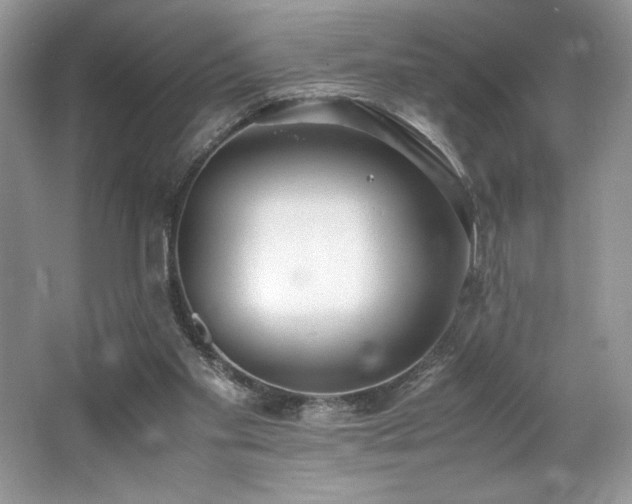 X0000062670109200512211346