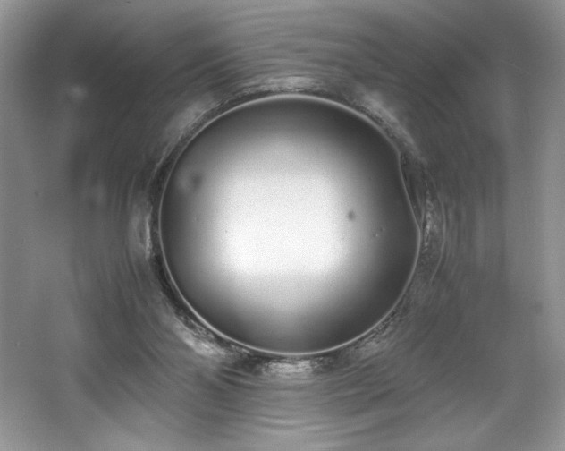 X0000062670110200512211346