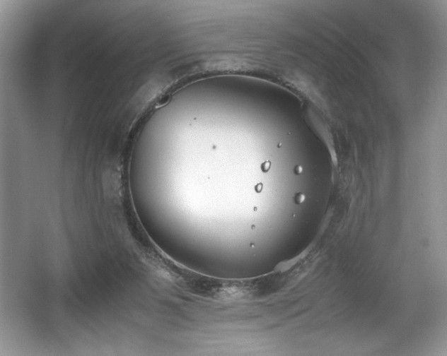 X0000062670111200512211346