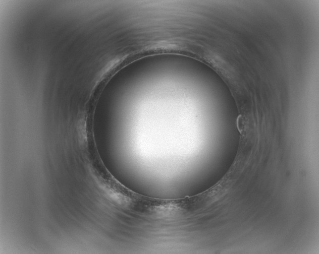 X0000062670112200512211346