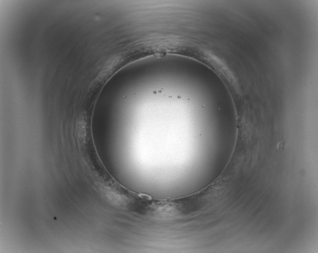 X0000062670113200512211346