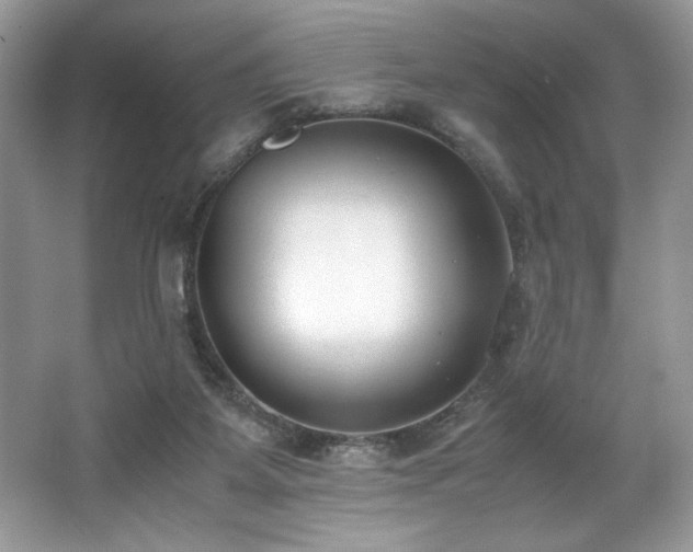 X0000062670115200512211345