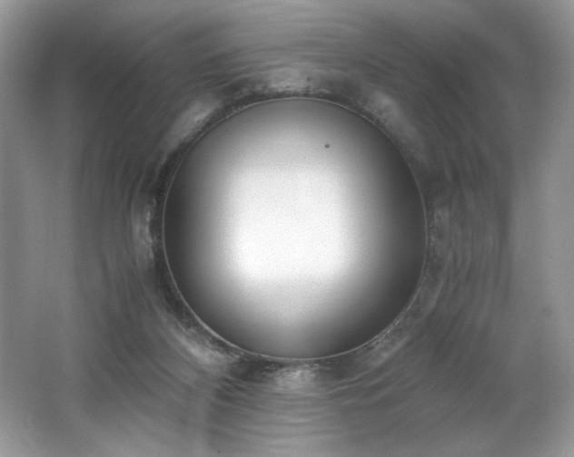 X0000062670116200512211345