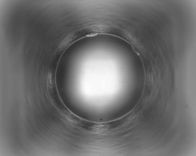 X0000062670117200512211345