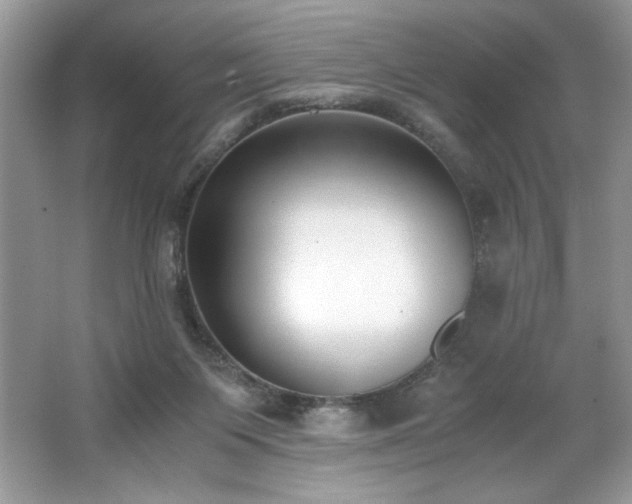 X0000062670119200512211345