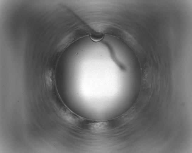 X0000062670122200512211345