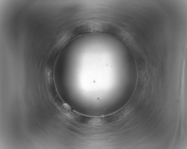 X0000062670123200512211345