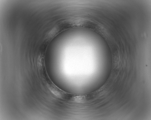 X0000062670126200512211345