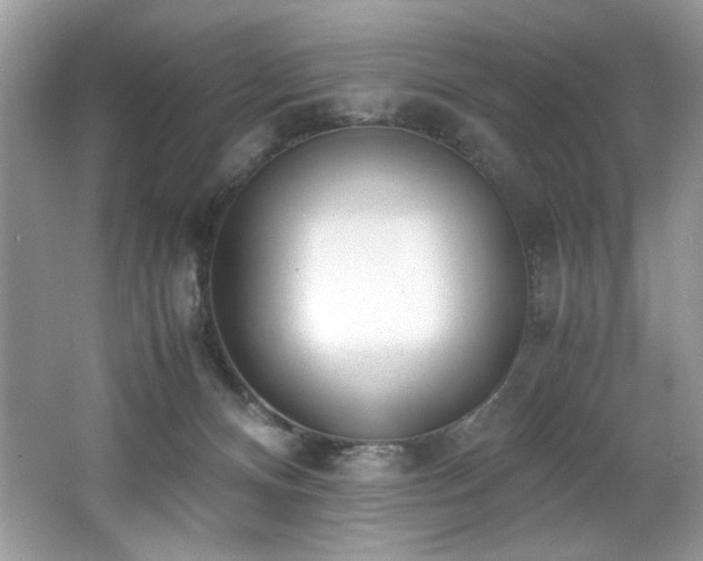 X0000062670128200512211345