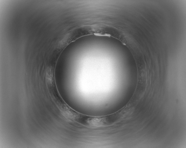 X0000062670129200512211345