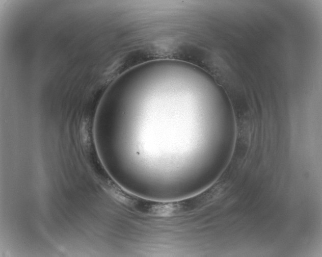 X0000062670131200512211345