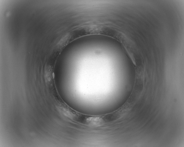 X0000062670133200512211345