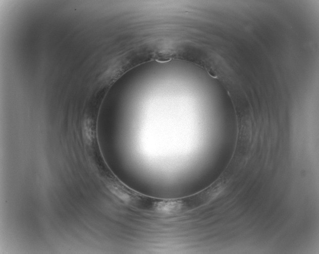 X0000062670135200512211345